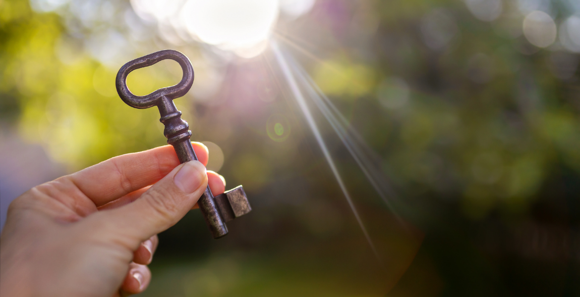 Profesyonel Yaşam Koçluğu